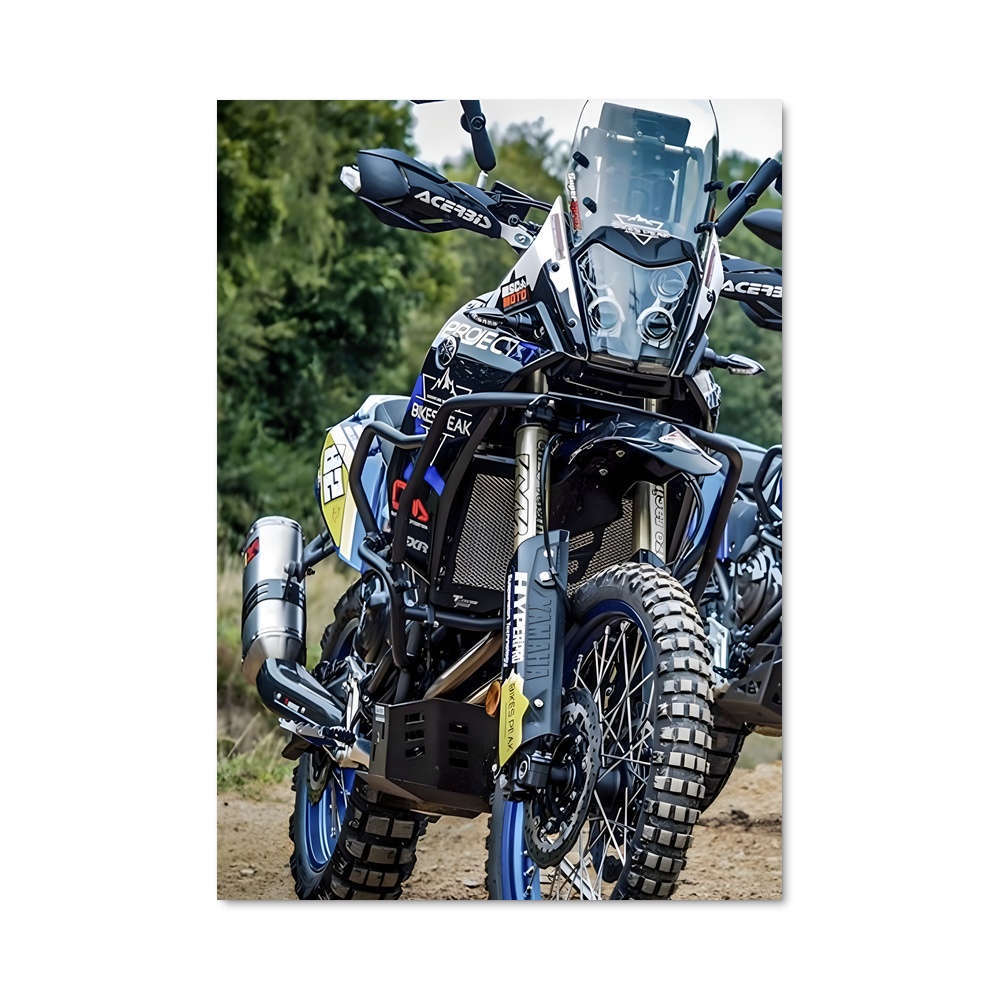 Poster Tenere Resplendissant